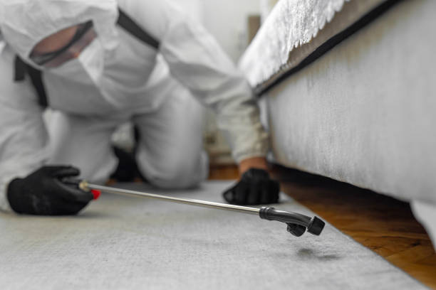 Professional Cockroach Control technician working in Brighton, IL