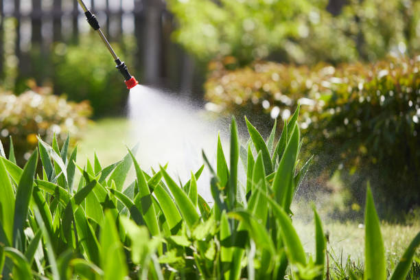 24/7 Emergency Cockroach Control experts in Brighton, IL