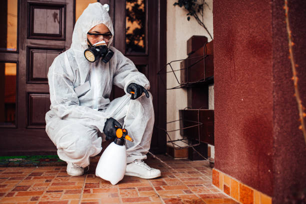 Reliable Cockroach Control contractor in Brighton, IL by Nex Pest Control